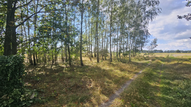 Działka Sprzedaż Wólka Wytycka 3