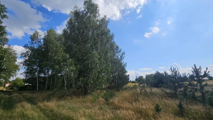 Działka Sprzedaż Wólka Wytycka 6