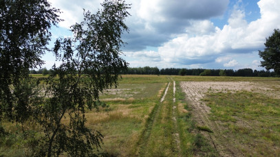 Działka Sprzedaż Wólka Wytycka