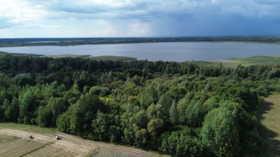 Działka Sprzedaż Wólka Nadrybska