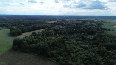 Działka Sprzedaż Wólka Nadrybska