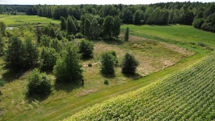 Działka Sprzedaż Luta 17