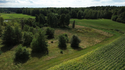 Działka Sprzedaż Luta