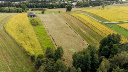 Działka Sprzedaż Jurków