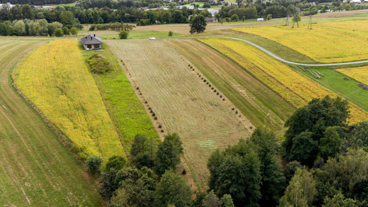 Działka Sprzedaż Jurków 5