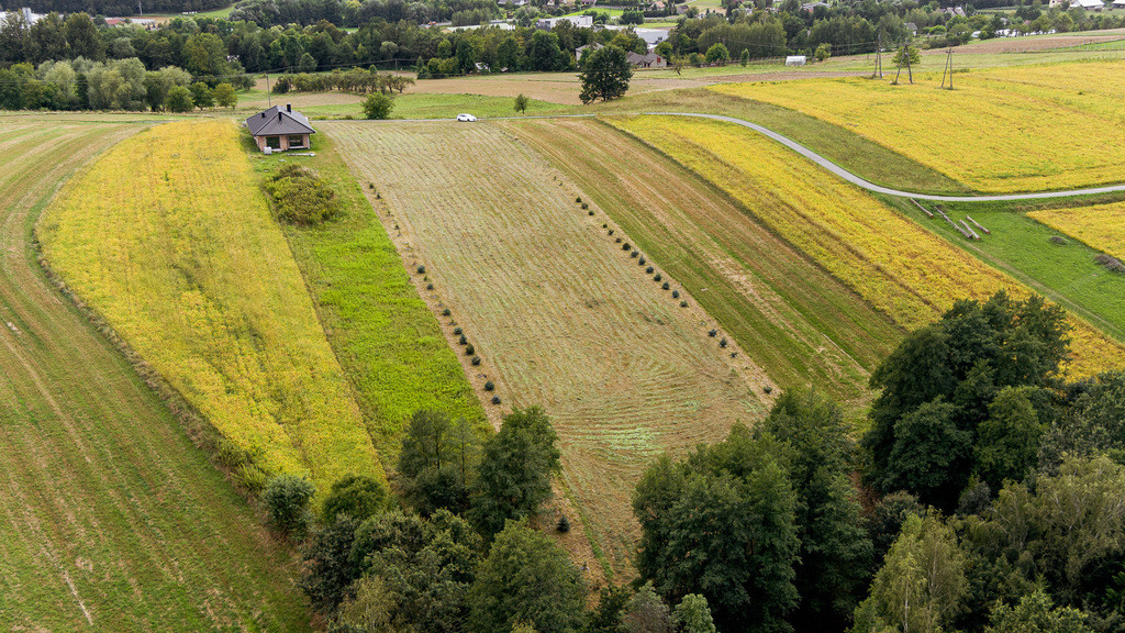 Działka Sprzedaż Jurków