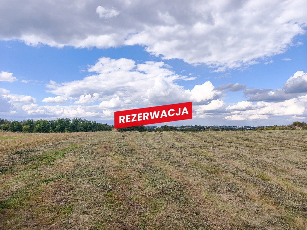Działka Sprzedaż Jurków