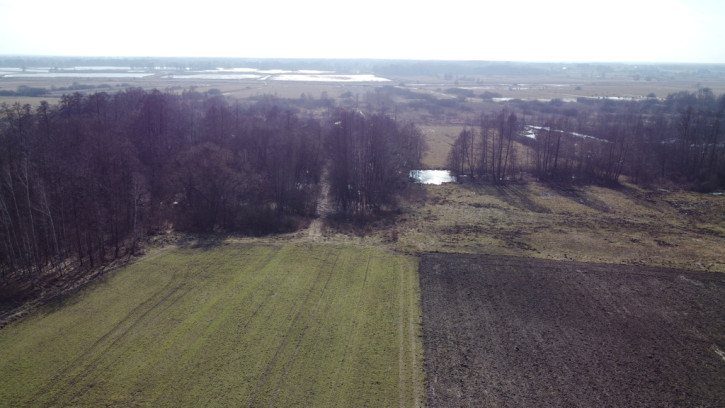 Działka Sprzedaż Żminne 11