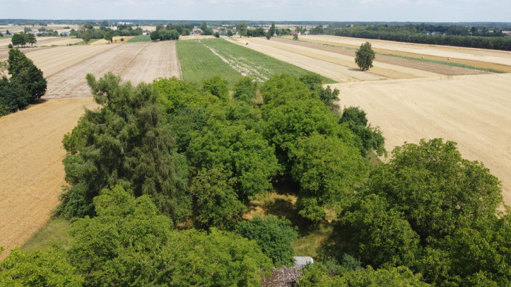 Działka Sprzedaż Zamość Nowy 13