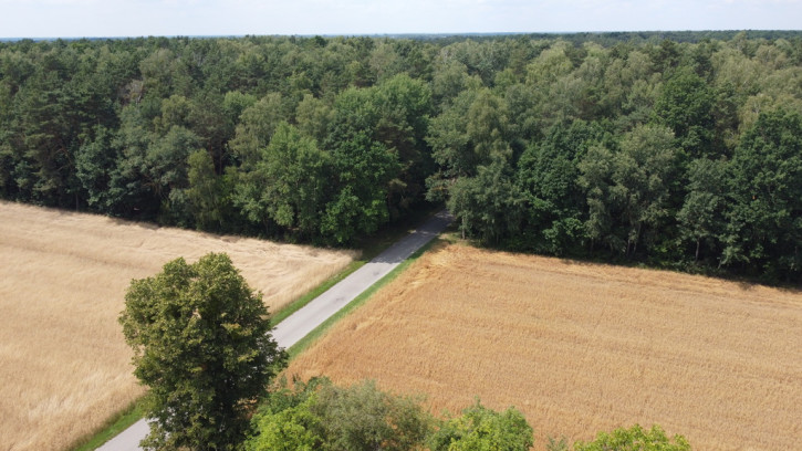 Działka Sprzedaż Zamość Nowy 15