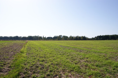 Działka Sprzedaż Krasne
