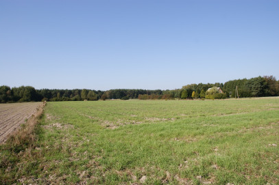 Działka Sprzedaż Krasne