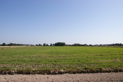 Działka Sprzedaż Krasne