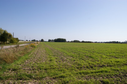 Działka Sprzedaż Krasne
