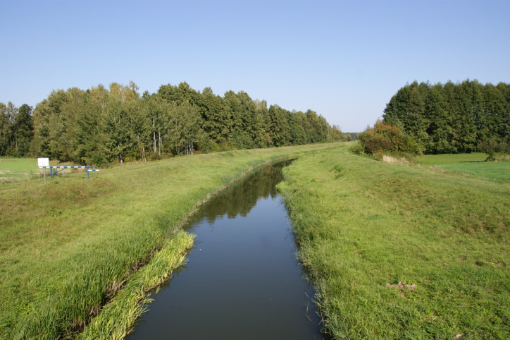 Działka Sprzedaż Krasne 19