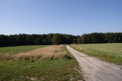 Działka Sprzedaż Krasne