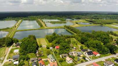 Dom Sprzedaż Wierzchosławice