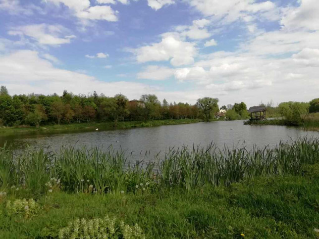 Działka Sprzedaż Klementowice 11