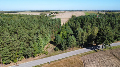 Działka Sprzedaż Szlachecki Las