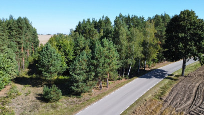 Działka Sprzedaż Szlachecki Las