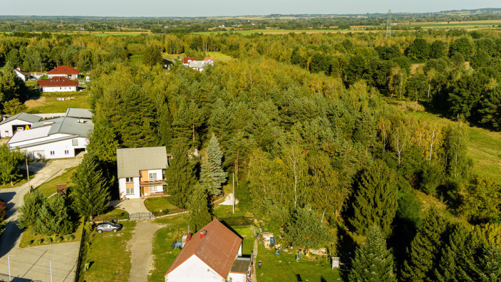 Działka Sprzedaż Radłów 6