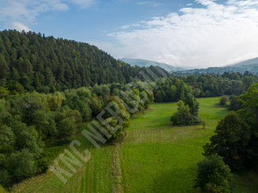 Działka Sprzedaż Stryszawa