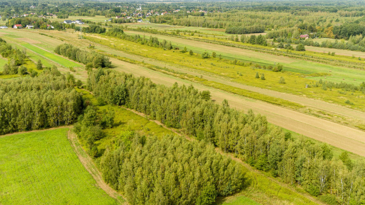 Działka Sprzedaż Biadoliny Radłowskie 5