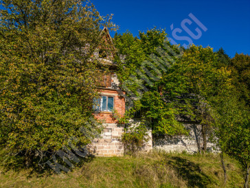 Dom Sprzedaż Zawoja