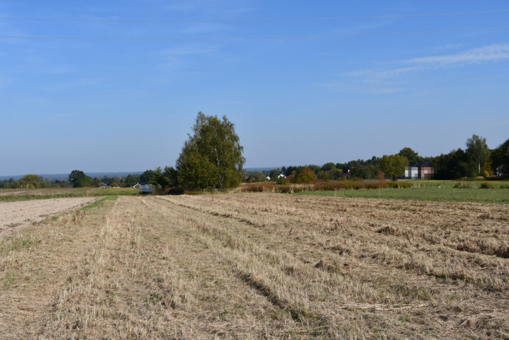 Działka Sprzedaż Strażów 5