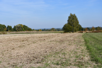Działka Sprzedaż Strażów