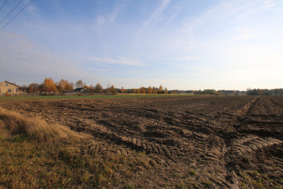 Działka Sprzedaż Sobolew-Kolonia