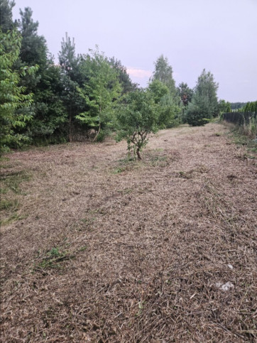 Działka Sprzedaż Dąbrowa 2