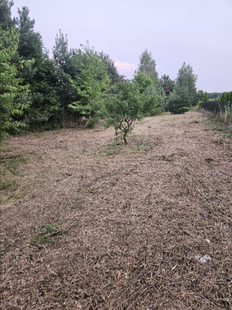 Działka Sprzedaż Dąbrowa