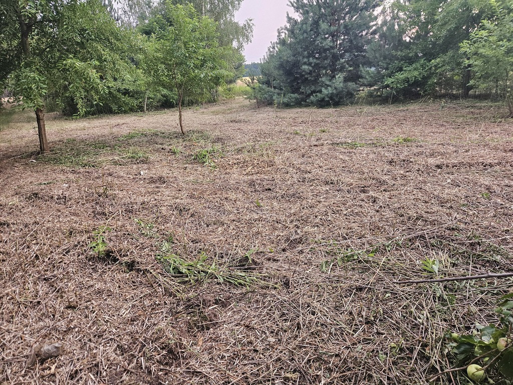 Działka Sprzedaż Dąbrowa