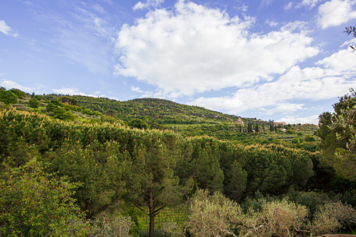 Dom Sprzedaż Cortona, Arezzo, Toskania, Włochy Via Santa Maria Nuova 7