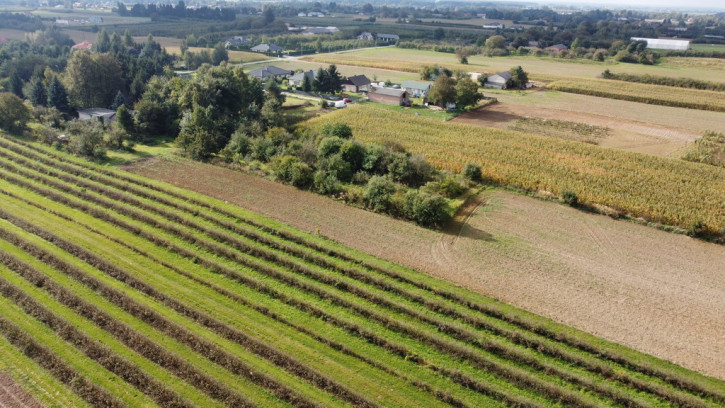 Działka Sprzedaż Motycz 4