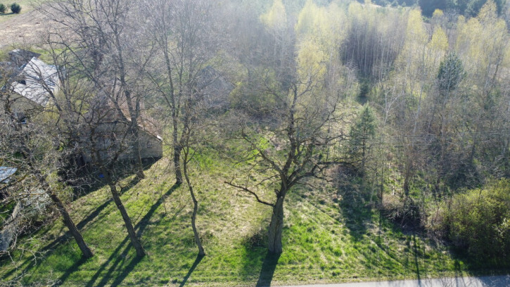 Działka Sprzedaż Borowiec 2