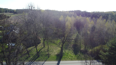 Działka Sprzedaż Borowiec