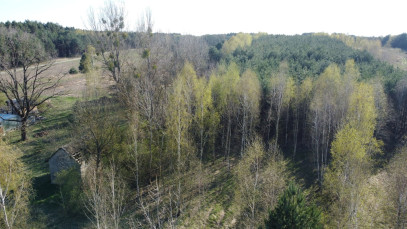 Działka Sprzedaż Borowiec