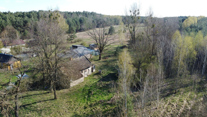 Dom Sprzedaż Borowiec 9