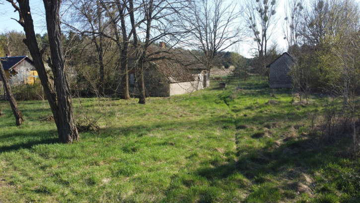 Dom Sprzedaż Borowiec 3