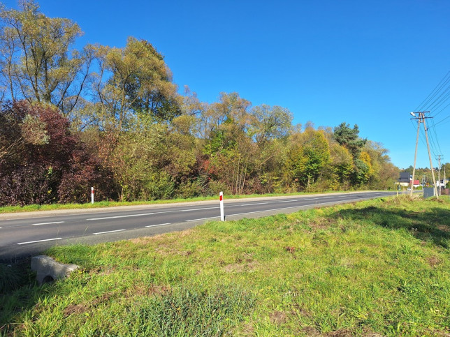 Działka Sprzedaż Budzów 8