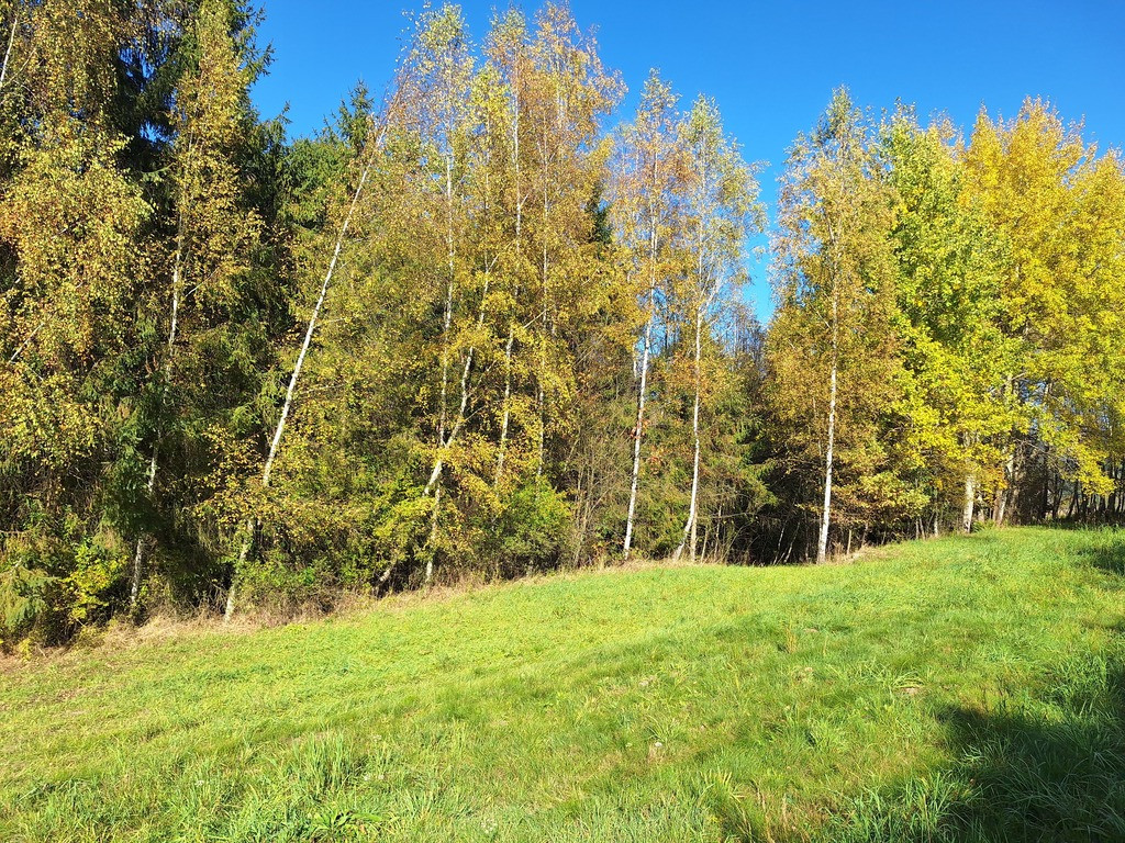 Działka Sprzedaż Wysoka 6