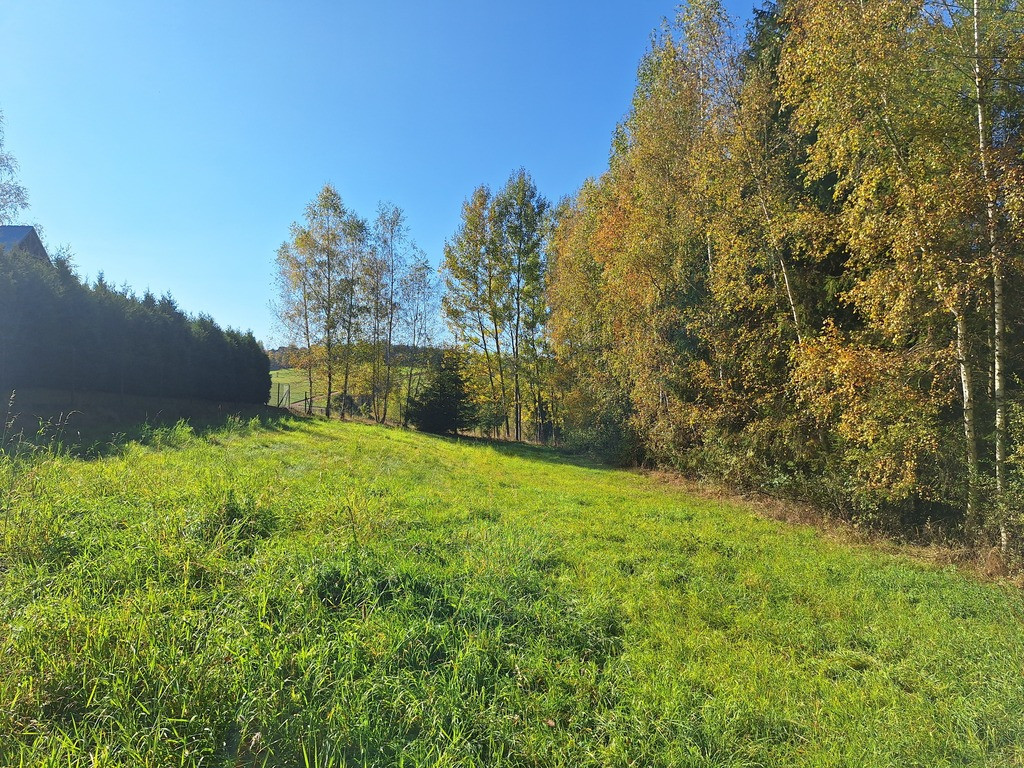 Działka Sprzedaż Wysoka 9