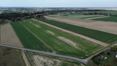 Działka Sprzedaż Jabłonna Pierwsza