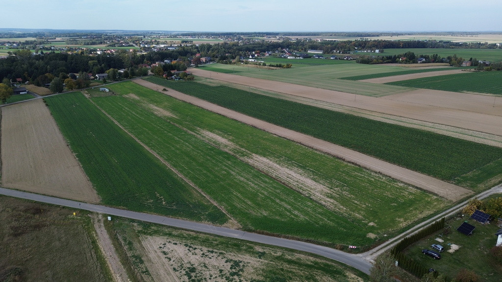 Działka Sprzedaż Jabłonna Pierwsza