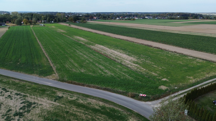 Działka Sprzedaż Jabłonna Pierwsza 5
