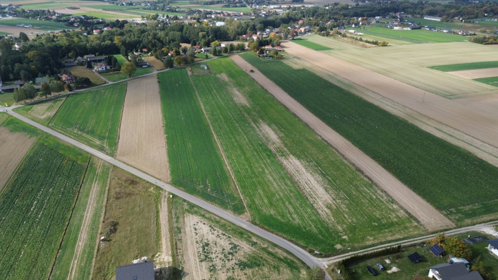 Działka Sprzedaż Jabłonna Pierwsza 8
