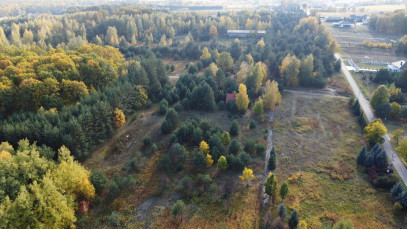 Działka Sprzedaż Kolonia Góra Puławska
