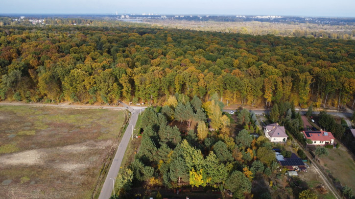 Działka Sprzedaż Kolonia Góra Puławska 10